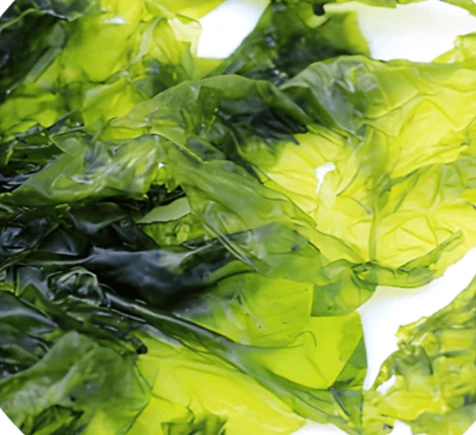 Rhodiola Ingredient